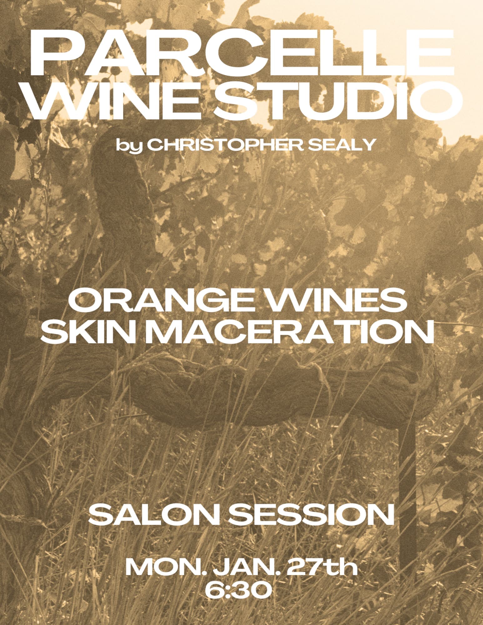 Parcelle Studio | Wine with Christopher Sealy 3