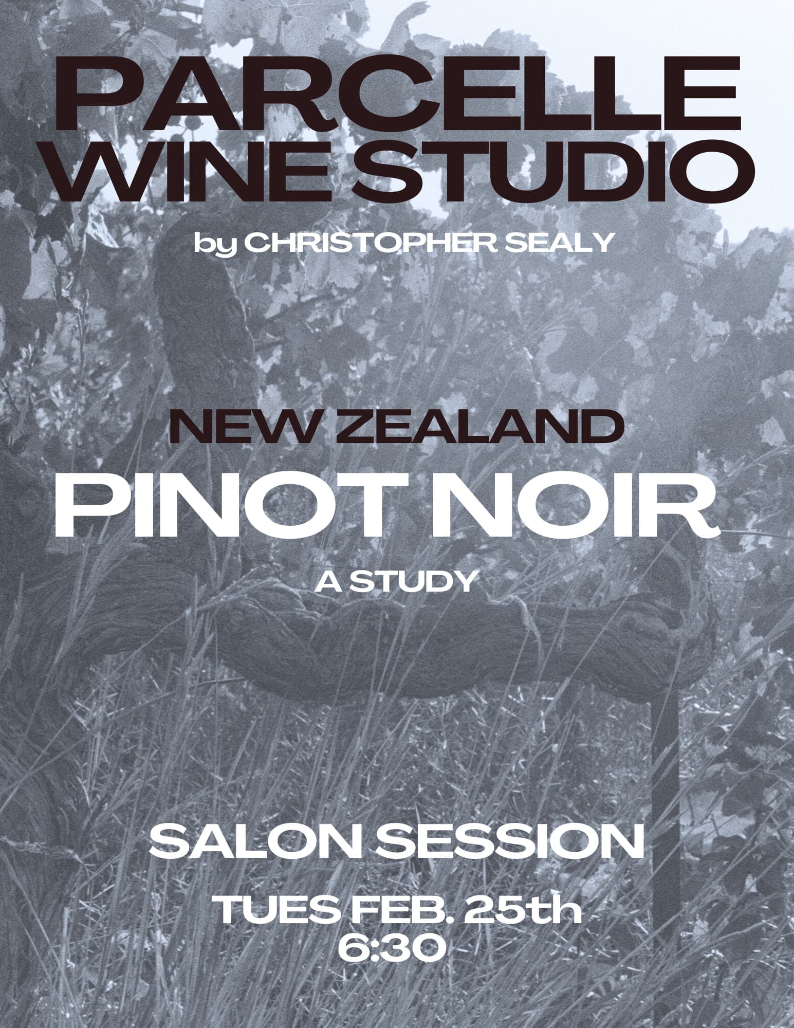 Parcelle Studio | Wine with Christopher Sealy 5