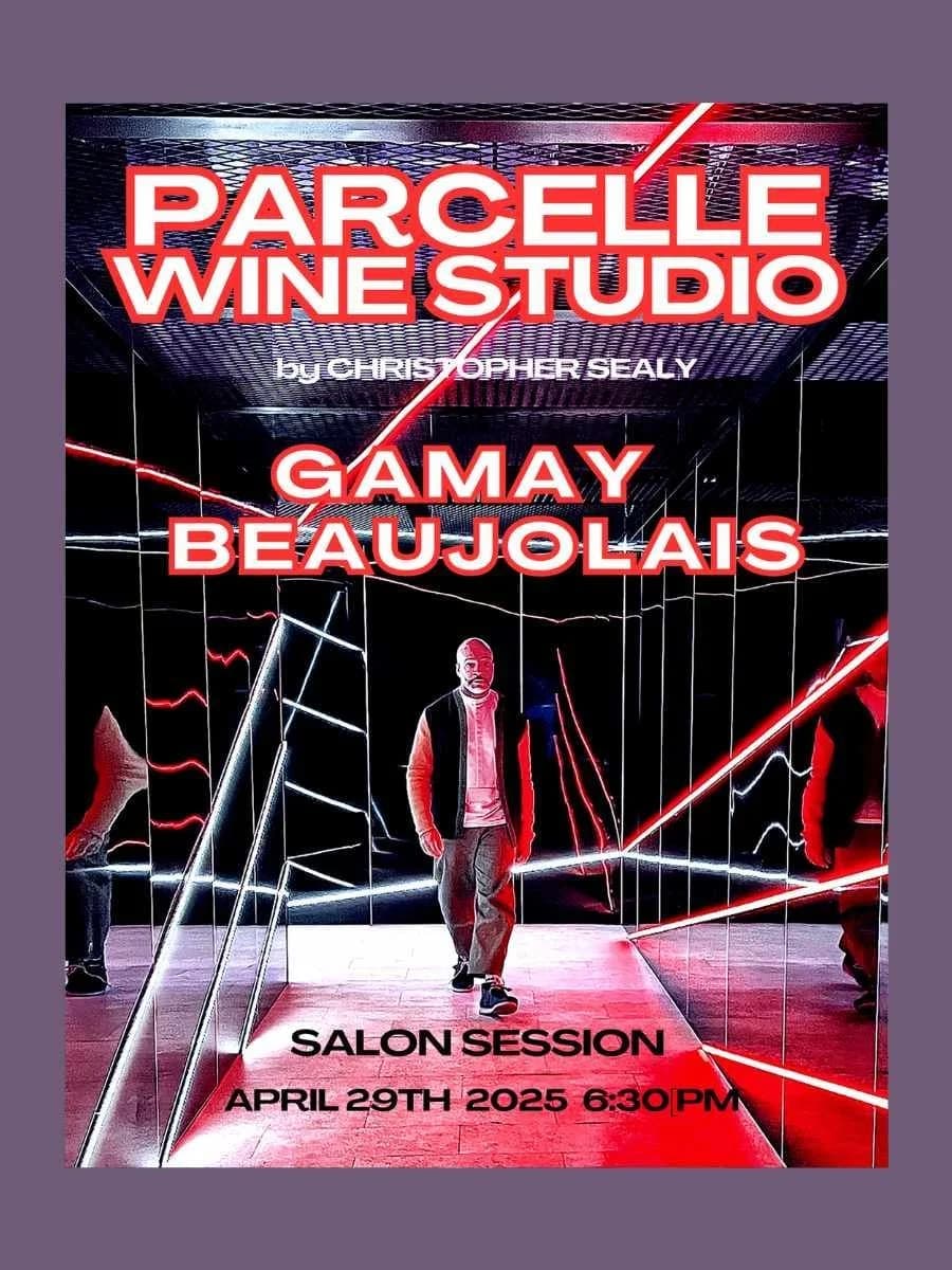 Parcelle Studio 5