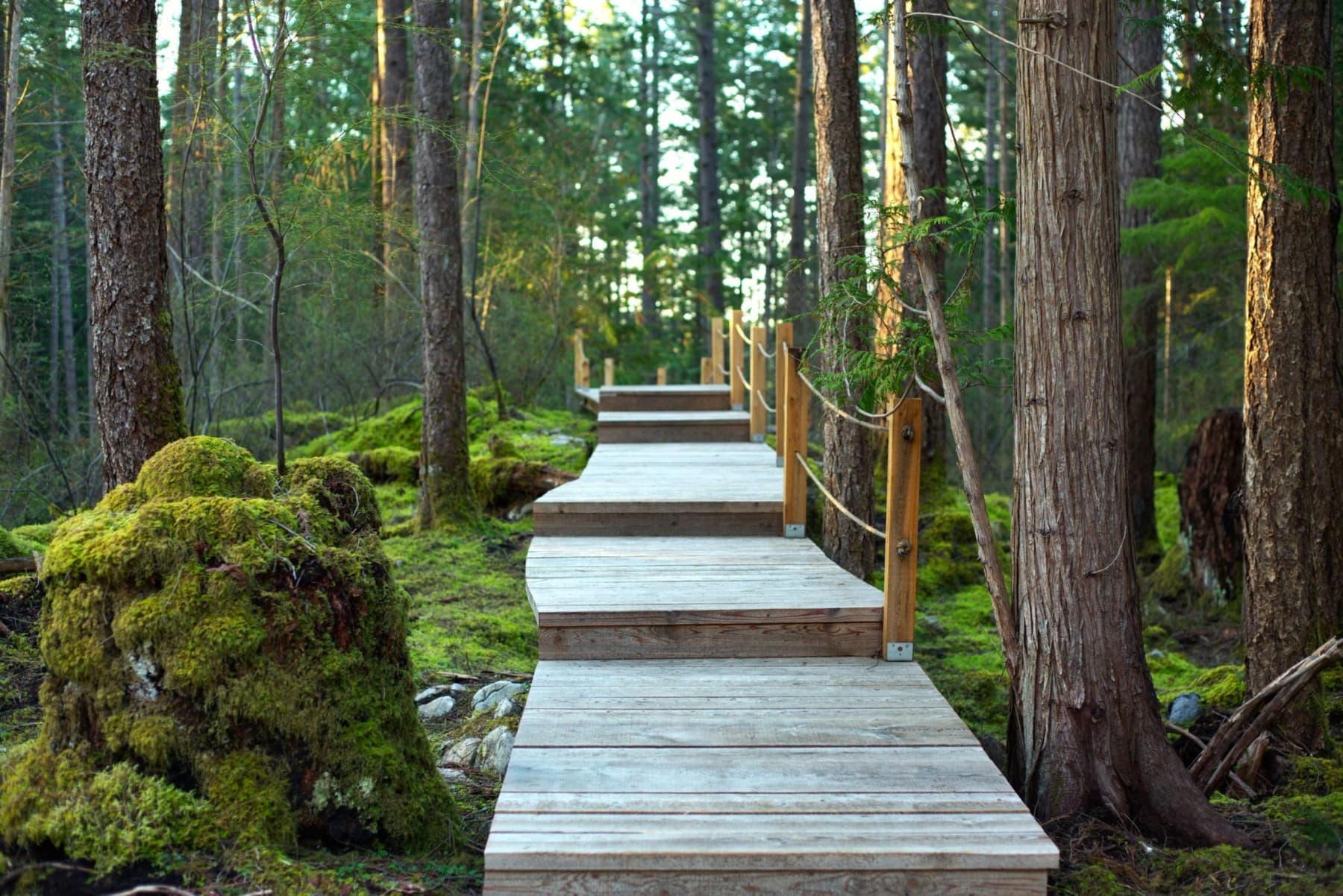 West Coast Foraging & Wellness Retreat 2