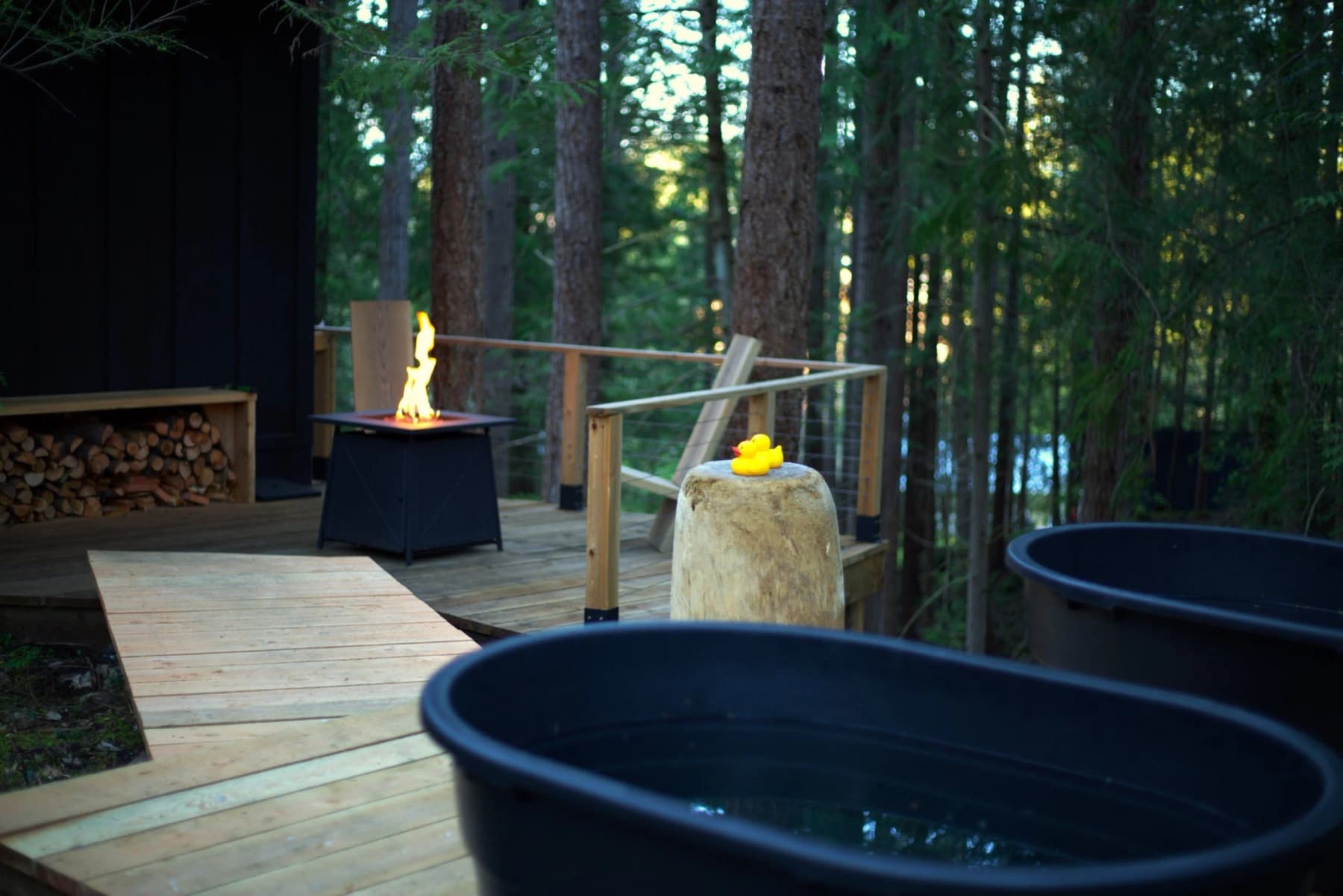 West Coast Foraging & Wellness Retreat 4