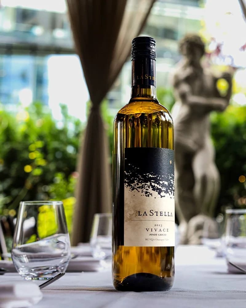 Acquafarina × La Stella Winemaker's Dinner 3