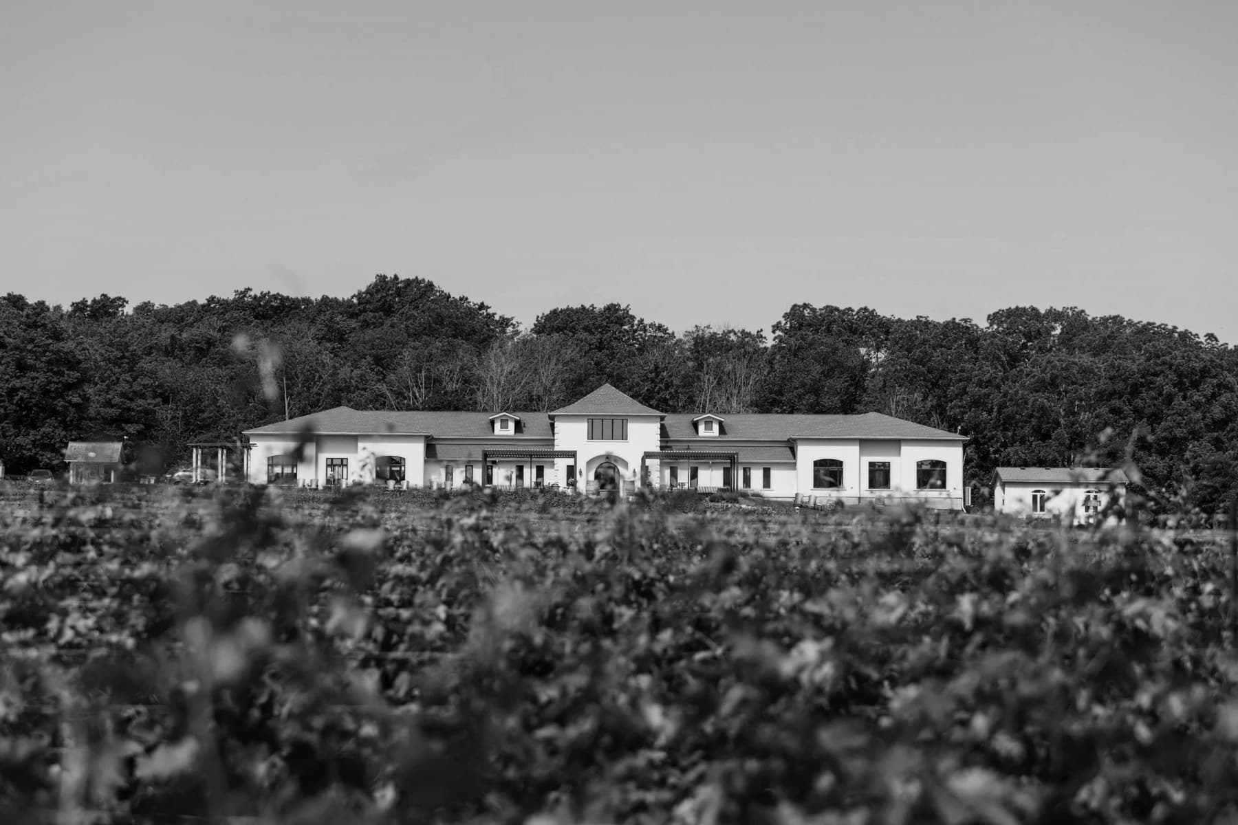 A Tasting Evening with Rosewood Winery